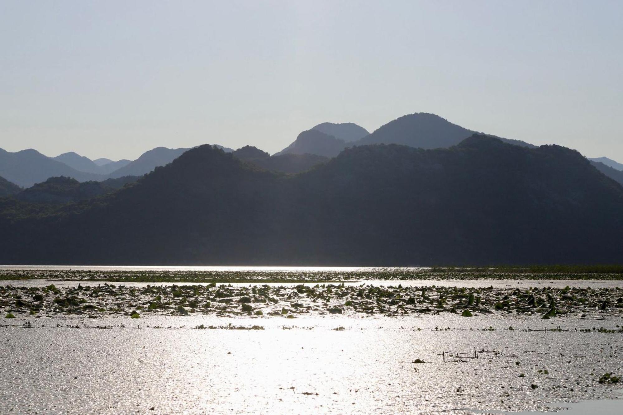 Jg Sunny Balcony Apartment Skadar Lake Podgoriçe Dış mekan fotoğraf